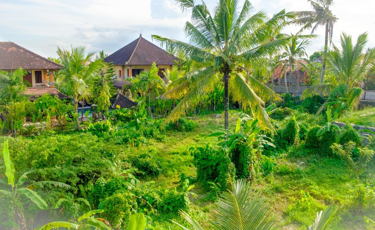 Semujan Bungalow Ubud Zewnętrze zdjęcie